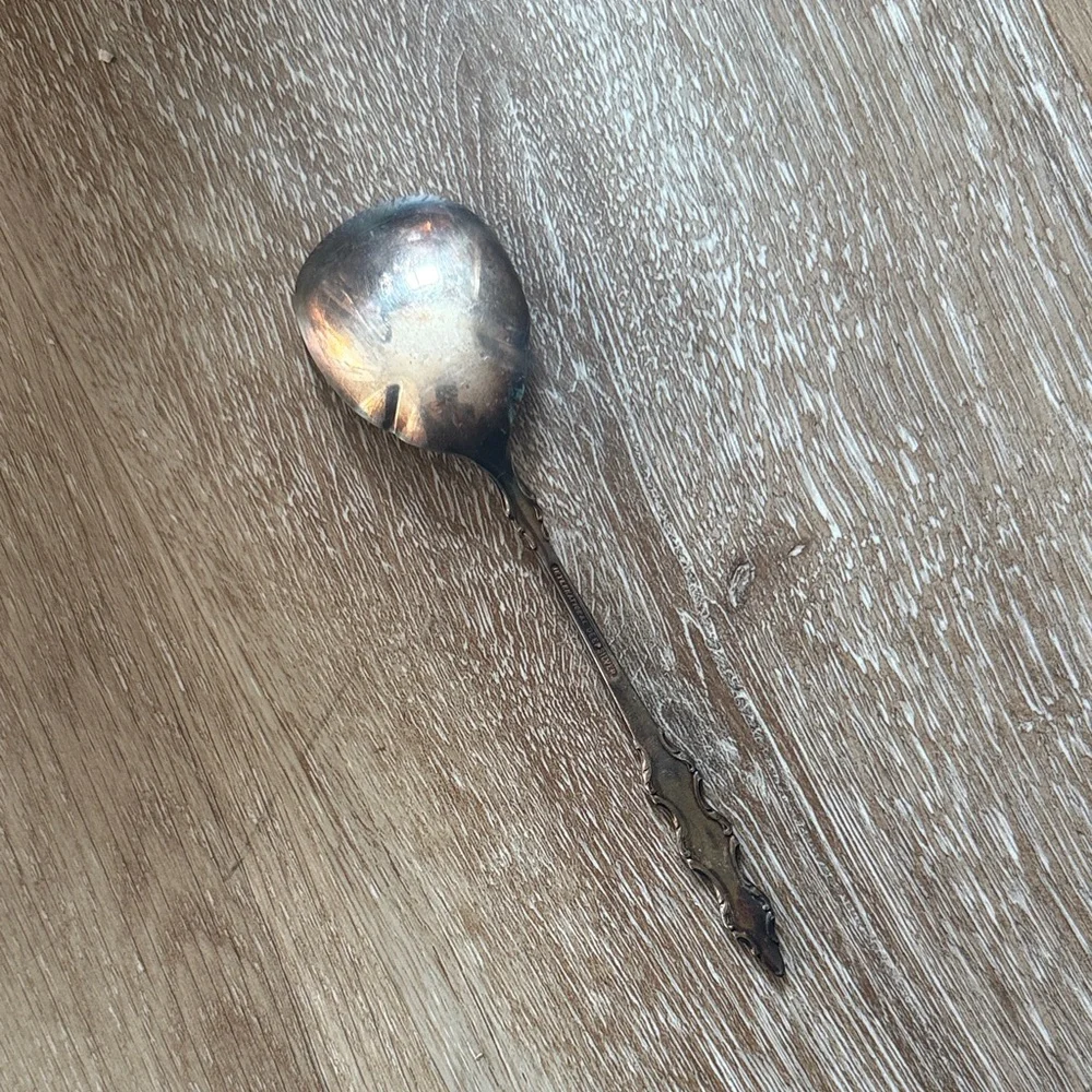 International deep silver Vintage Spoon patina